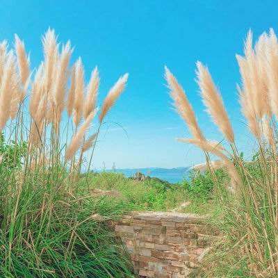 皇冠新体育APP官方入口